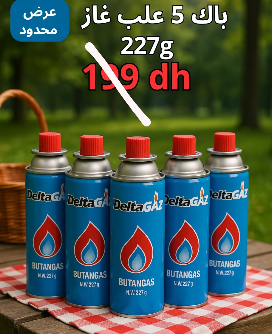 PACK 5 CARTOUCHES GAZ 227G